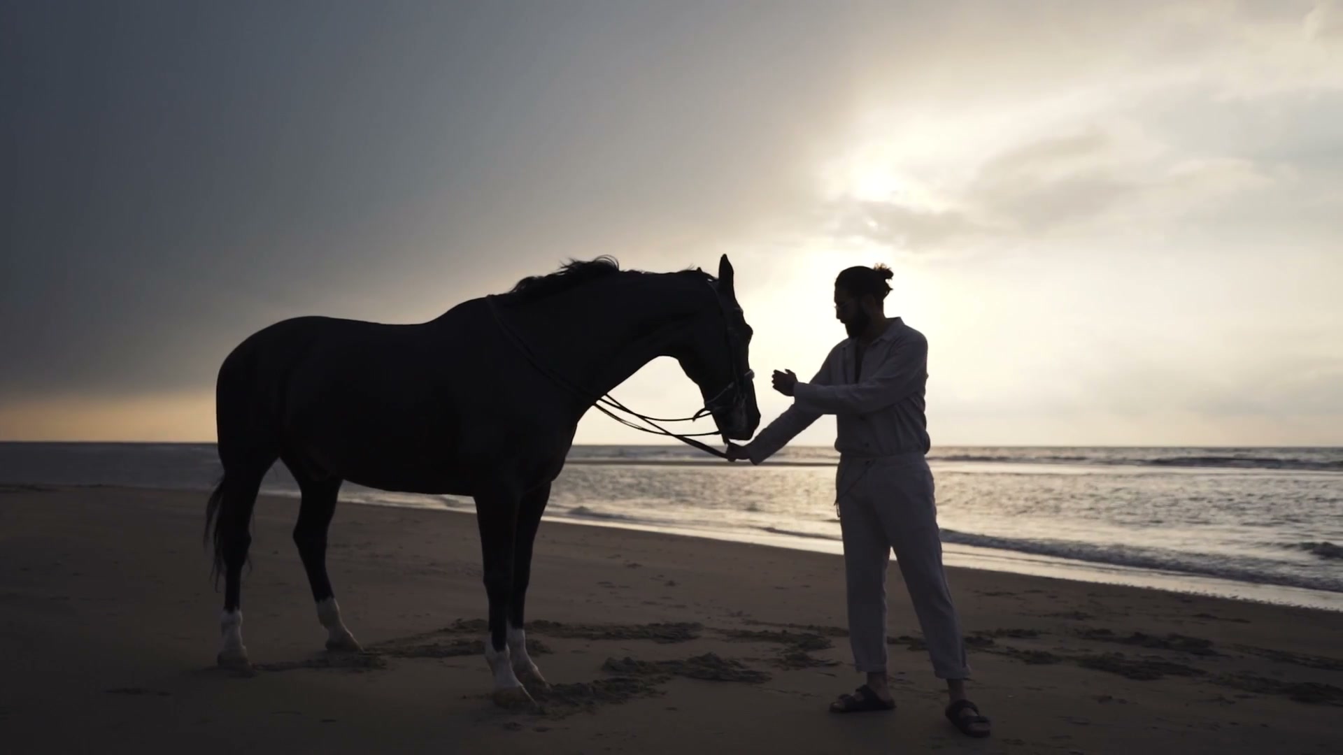 DRIFT 2026 — official teaser film, Trio Sporting international equestrian showcase