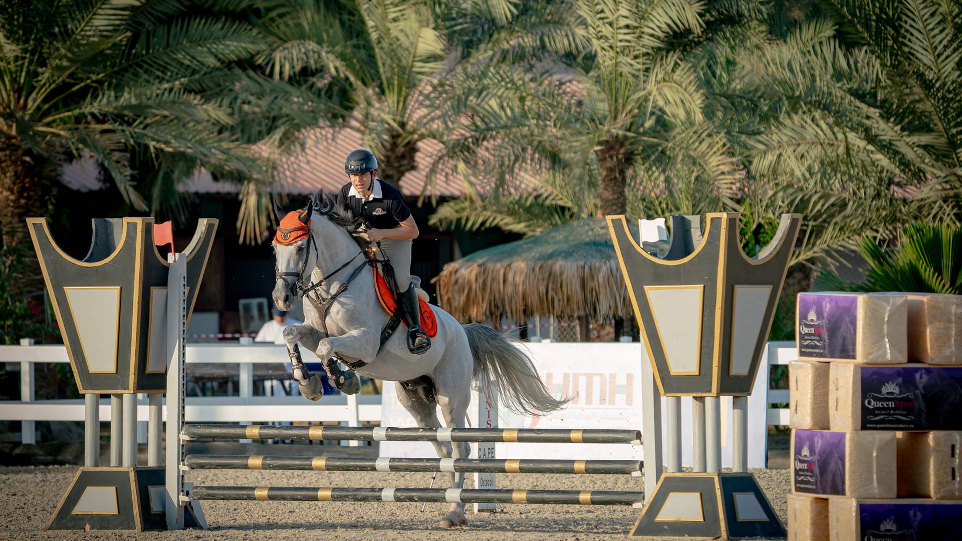 Showjumping action