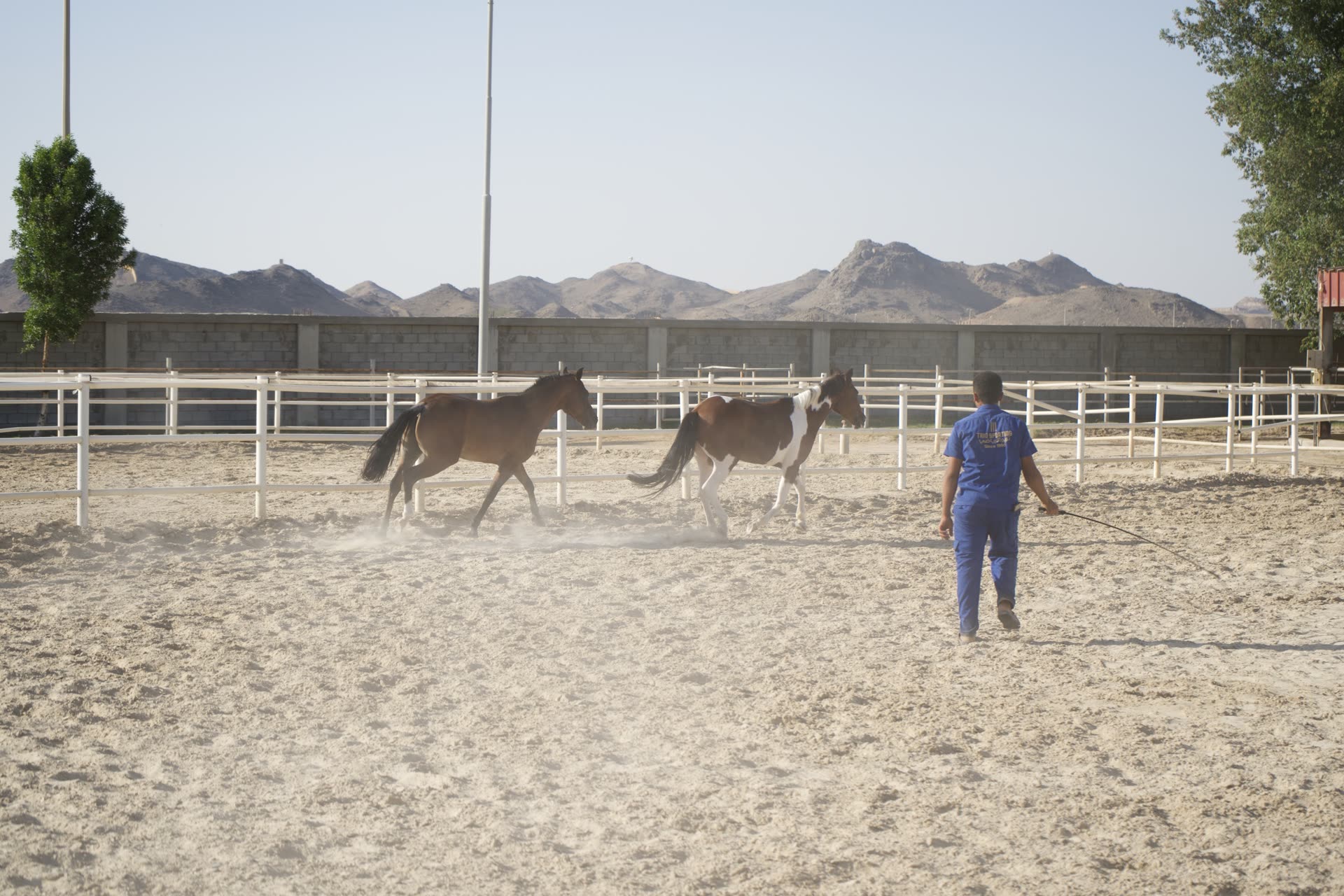 Supervised turnout